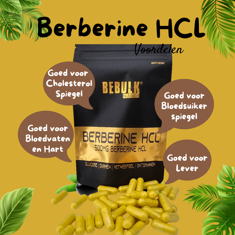 Berberine HCL 98%  500mg - Vegan - BeBulk Nutrition